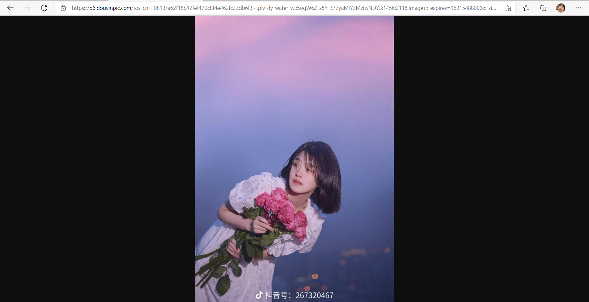 复制图片链接打开